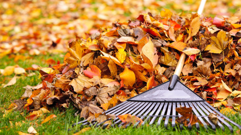 Rent the Equipment for Your Fall Yard Cleanup